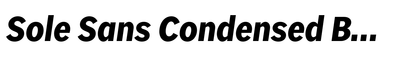 Sole Sans Condensed Bold Italic